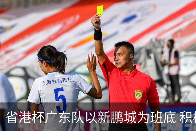 省港杯广东队以新鹏城为班底 积极协调拜合拉木参赛